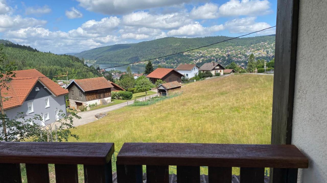 Appartement Le Grand Duc Gérardmer Eksteriør billede
